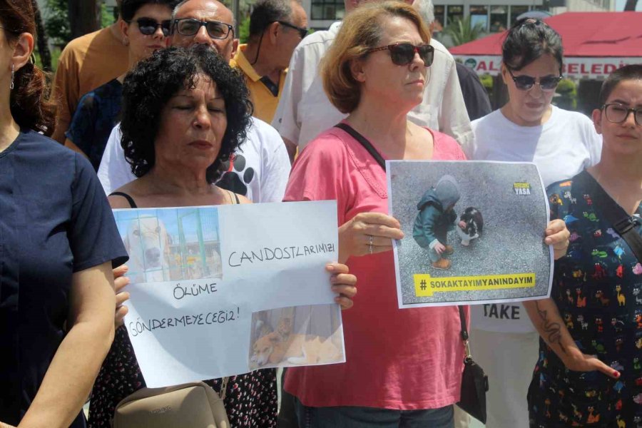 Alanya’da Hayvanseverlerden Sokak Hayvanları Düzenlemesine Tepki
