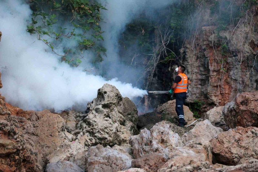 Antalya Büyükşehir Belediyesinden Bin 600 Personelle Vektörel Mücadele