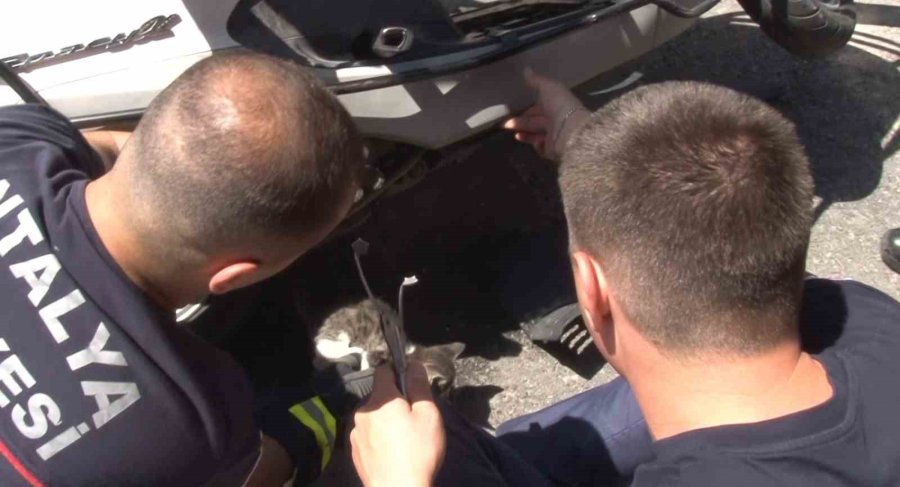 Alanya’da Motosikletin İçine Sıkışan Kedi 15 Dakikalık Çalışmayla Kurtarıldı