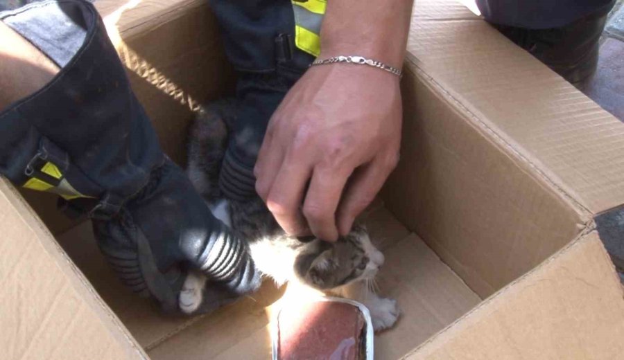 Alanya’da Motosikletin İçine Sıkışan Kedi 15 Dakikalık Çalışmayla Kurtarıldı