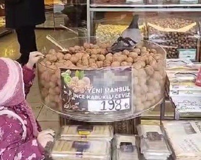 İşini Bilen Güvercinler Kuruyemişçiyi Mesken Tuttu