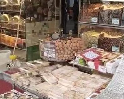 İşini Bilen Güvercinler Kuruyemişçiyi Mesken Tuttu