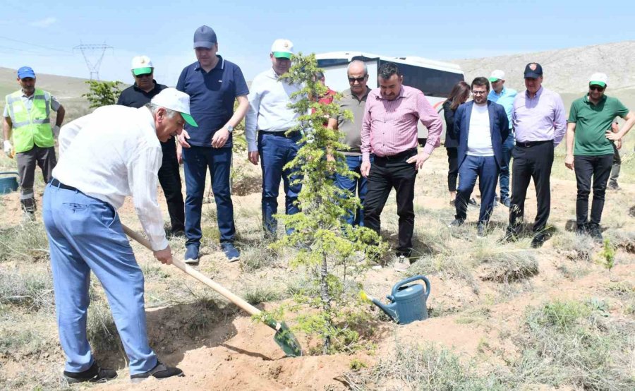 Kso, 10 Bin Fidanı Toprakla Buluşturdu