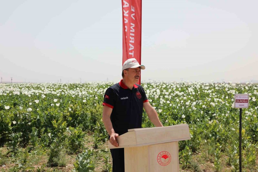 Eskişehir’de Haşhaş Çeşitleri İçin Tarla Günü Düzenlendi