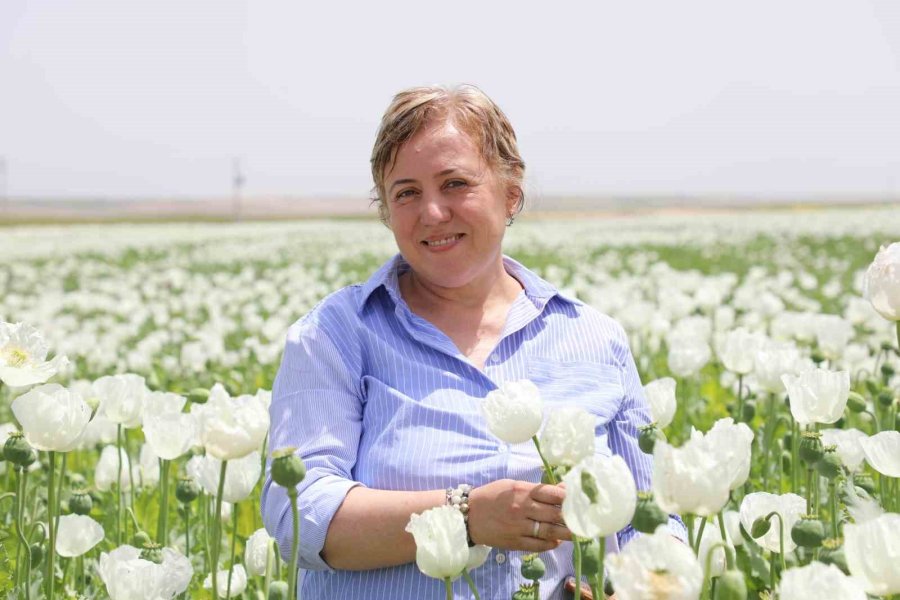 Eskişehir’de Haşhaş Çeşitleri İçin Tarla Günü Düzenlendi