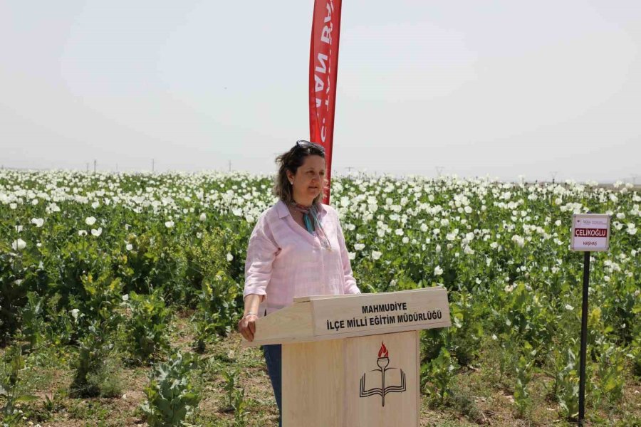 Eskişehir’de Haşhaş Çeşitleri İçin Tarla Günü Düzenlendi