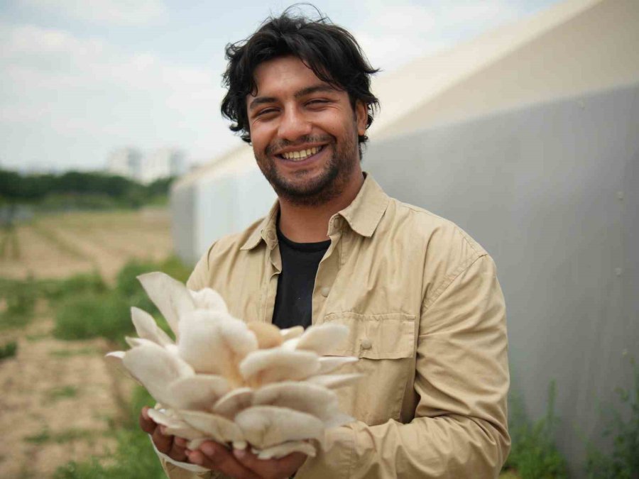 Tarsus Belediyesi Mantar Yetiştiriciliği Kurslarıyla İş Kapısı Oluyor