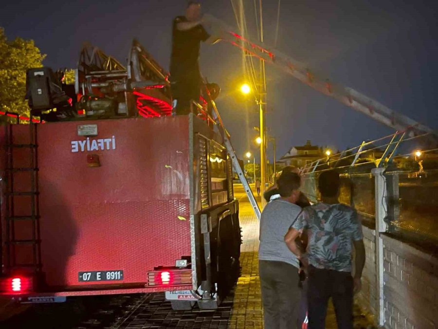 Alanya’da Şampiyonluk Kutlamasında Boş Araziye Atılan Meşale Yangın Çıkardı