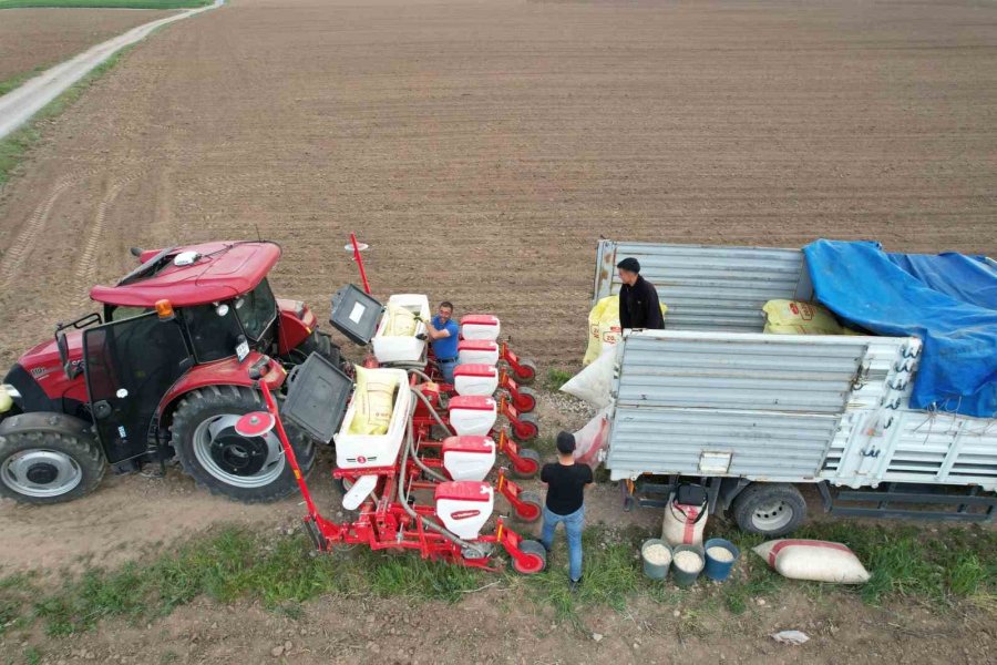 Tomarza’da Kabak Çekirdekleri Ekildi