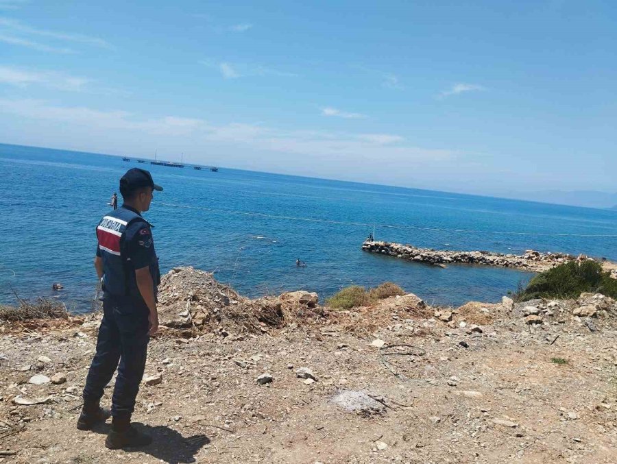 Alanya’da Yeşil Deniz Kaplumbağası Ve Caretta Carettaların Yuvalanma Bölgeleri Kontrol Edildi