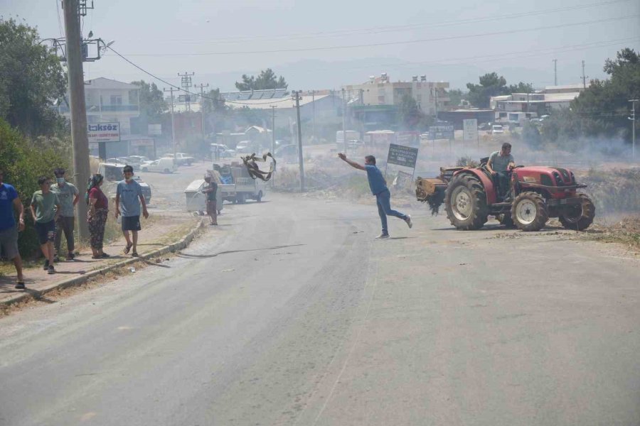 Anız Yakımıyla Başladı Seralara Ve Evlere Sıçradı