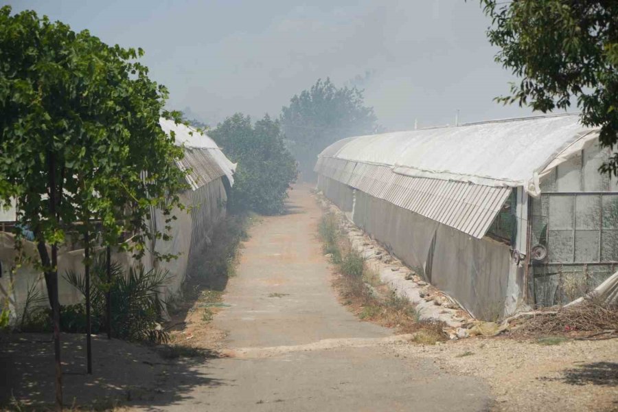 Anız Yakımıyla Başladı Seralara Ve Evlere Sıçradı