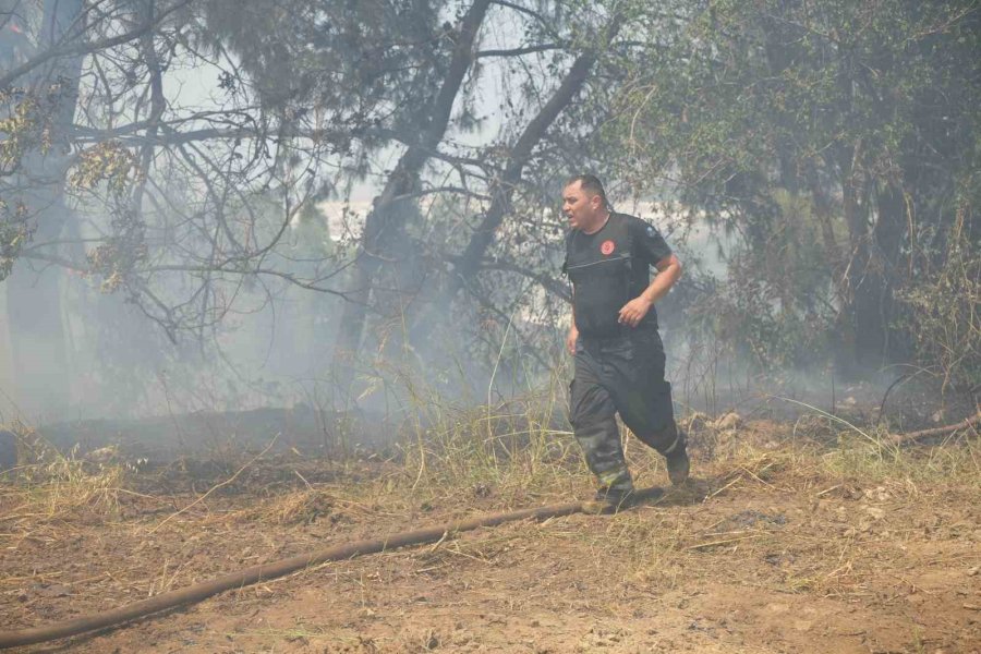 Anız Yakımıyla Başladı Seralara Ve Evlere Sıçradı