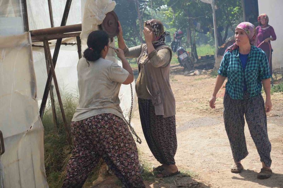 Anız Yakımıyla Başladı Seralara Ve Evlere Sıçradı