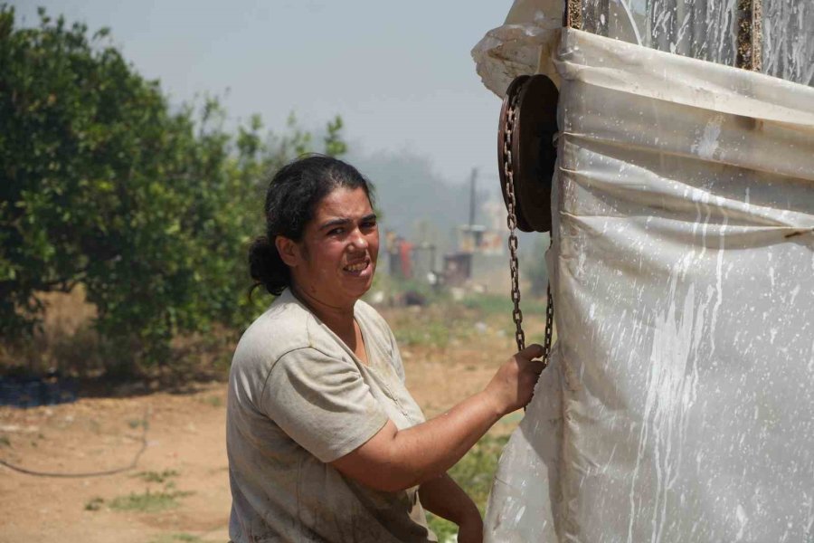 Anız Yakımıyla Başladı Seralara Ve Evlere Sıçradı
