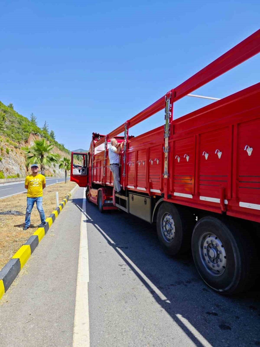 Gazipaşa’da Kurbanlıklar Denetlendi