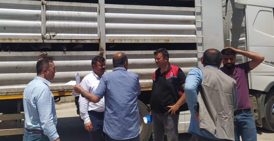 Kurban Satış Pazarında Denetim Ve Kontroller