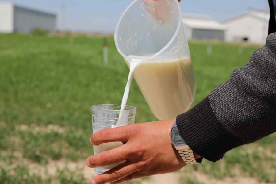 Niğde’de ’dünya Süt Günü’ Etkinliği Gerçekleştirildi