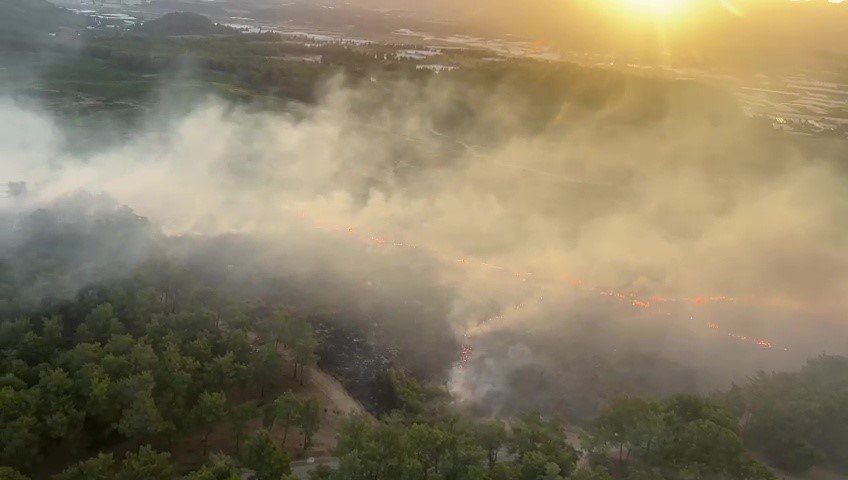 Antalya’da Gece Başlayan Orman Yangını Sabahın İlk Işıkları İle Kontrol Altına Alındı