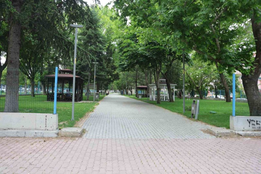 Parktan Geçen Genç Kızı Köpek Isırdı