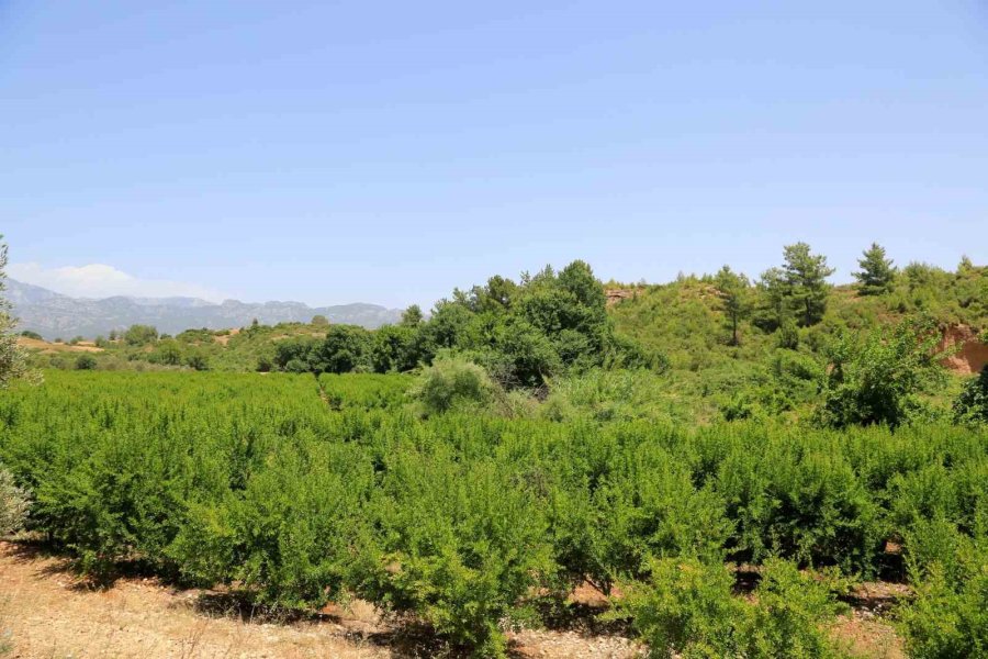 Antalya’daki Kayıp Genç Doktordan Kötü Haber Geldi