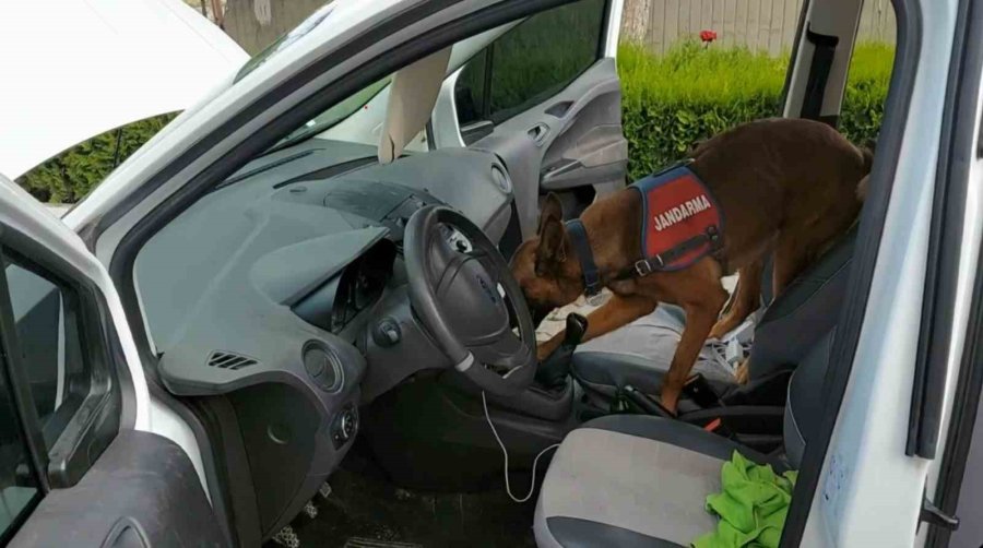 Vites Topuzu Altında Uyuşturucu Sevkiyatına Jandarma Darbesi: 2 Tutuklama