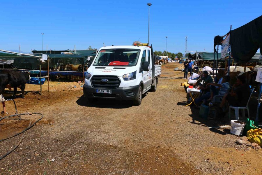 Büyükşehir Kurban Pazar Yerlerini İlaçlıyor