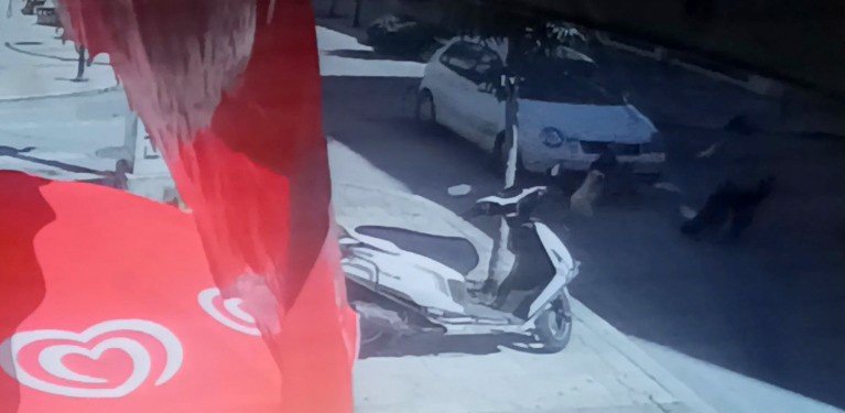 Anne Ve 2 Çocuğu Ölümden Döndü