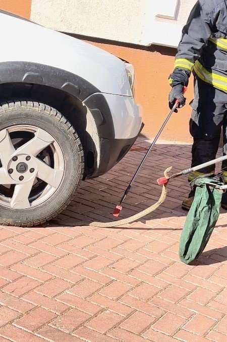 Park Halindeki Cipe Giren Yılanı, İtfaiye Ekipleri Çıkardı