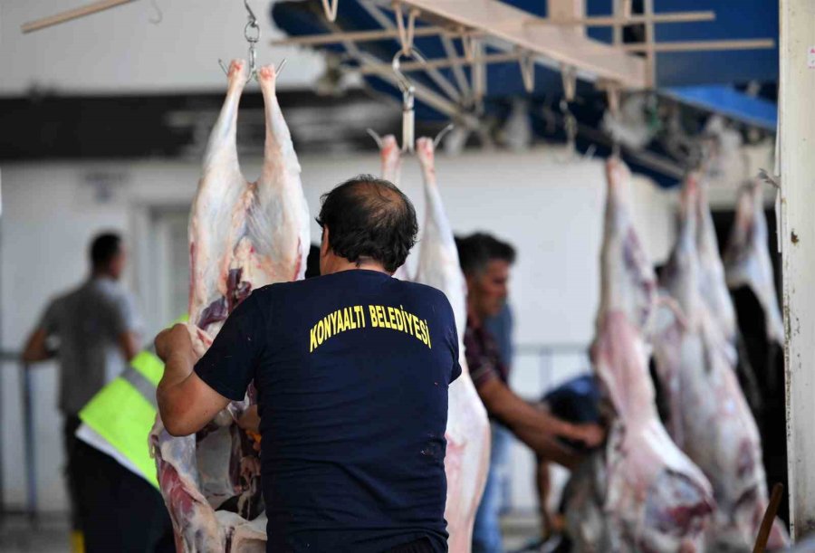 Konyaaltı’nda 3 Noktada Ücretsiz Kurban Kesimi