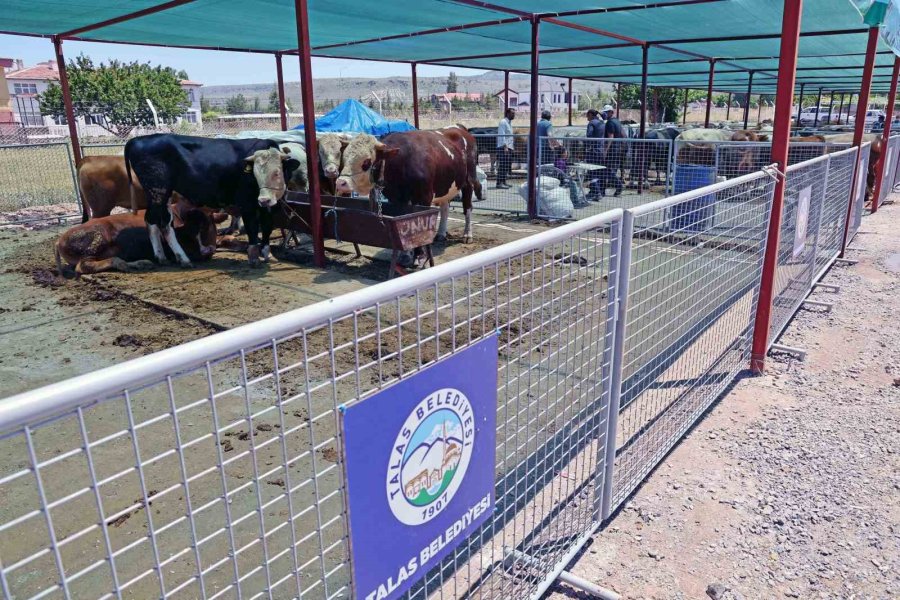 “kayseri’de Bir Numara Talas Belediyesi”