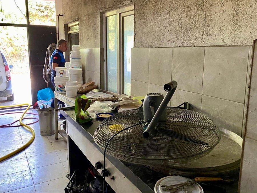 Süt Ürünleri İmalathanesinde Mide Bulandıran Görüntülere Zabıta Mührü