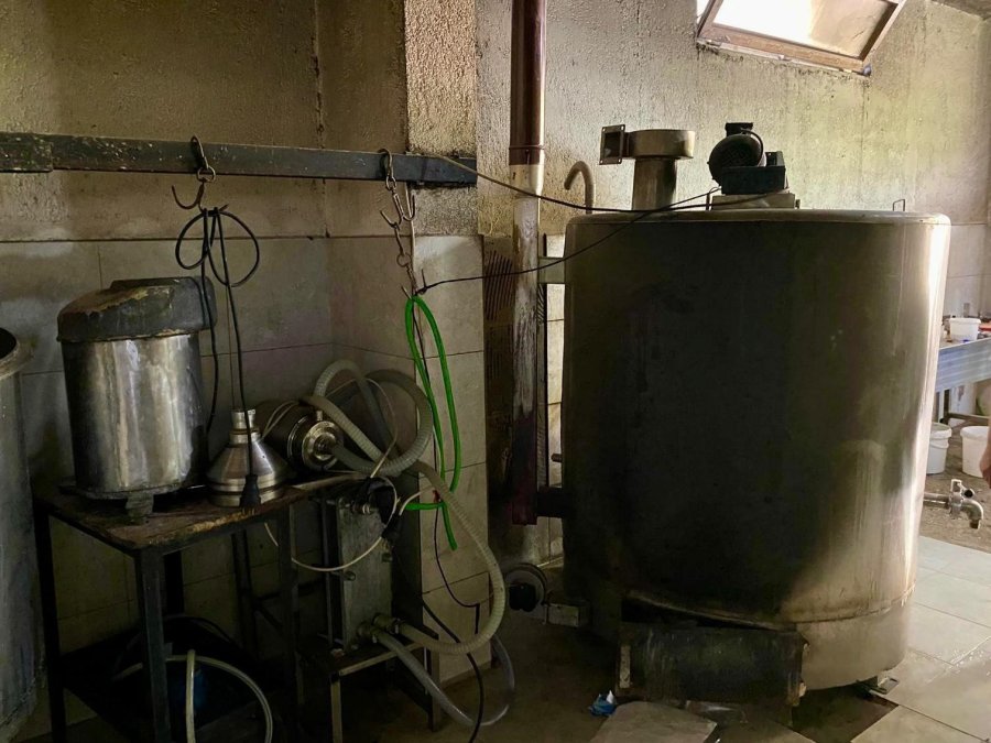 Süt Ürünleri İmalathanesinde Mide Bulandıran Görüntülere Zabıta Mührü