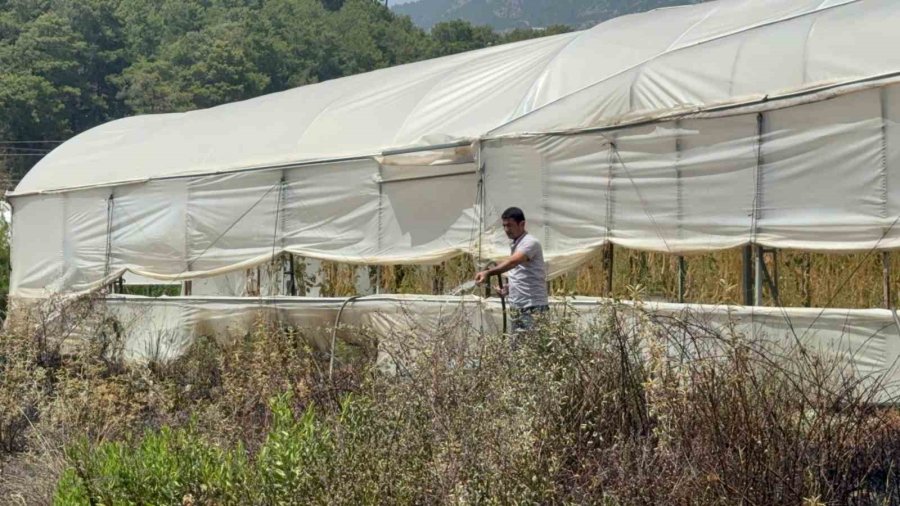 Otluk Alandan Sıçrayan Yangın Ahşap Evi Küle, Patlıcanları İse Köze Döndürdü
