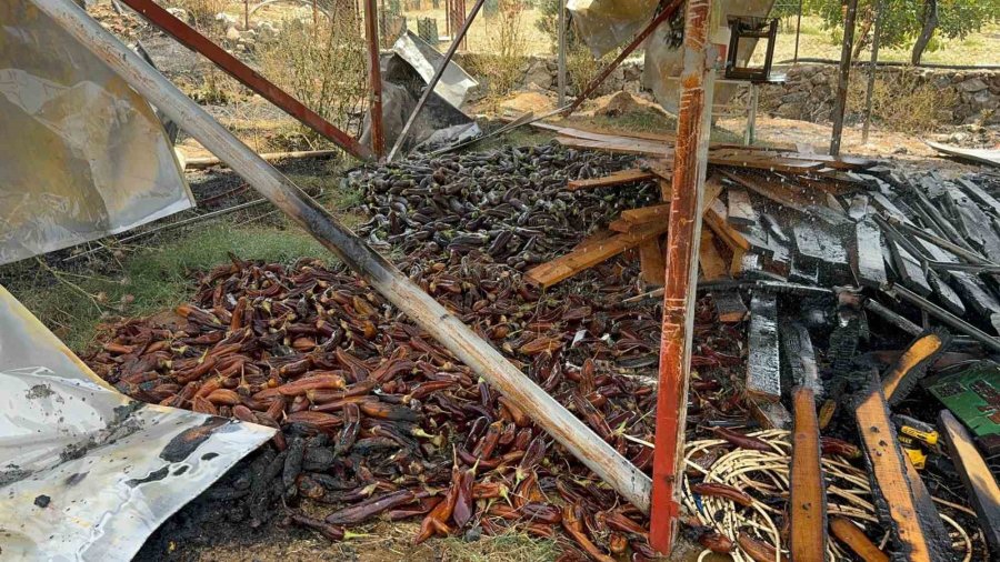 Otluk Alandan Sıçrayan Yangın Ahşap Evi Küle, Patlıcanları İse Köze Döndürdü
