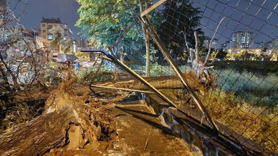 Kayseri’de Şiddetli Rüzgar Ağaçları Devirdi, Vatandaşlar Yolda Mahsur Kaldı