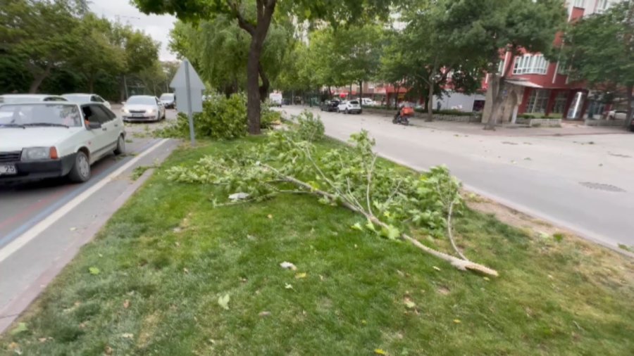 Konya’da Fırtına Nedeniyle Camekan Uçtu, Ağaçlar Devrildi