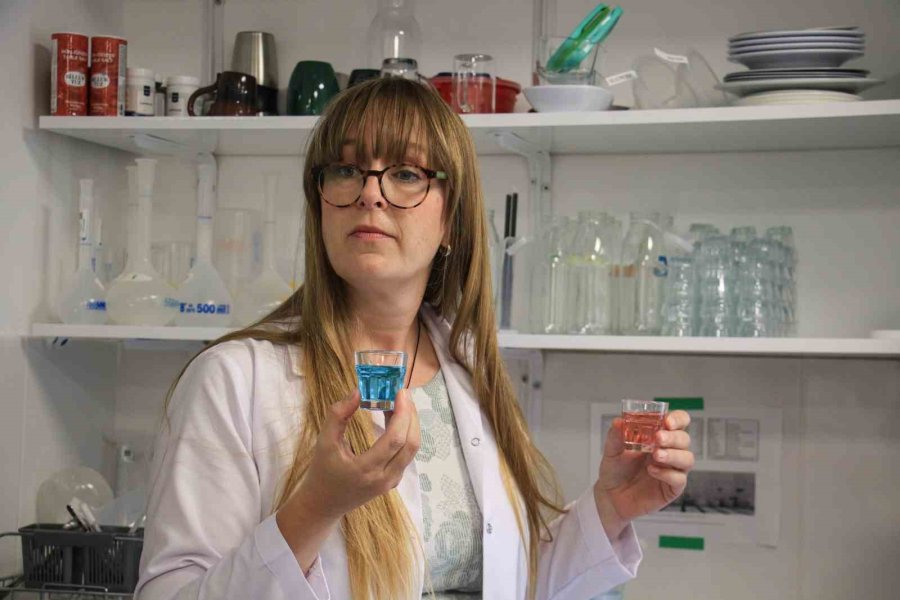 Yiyeceklerin Beyinde Oluşturduğu Tepkiyi Araştırıyor