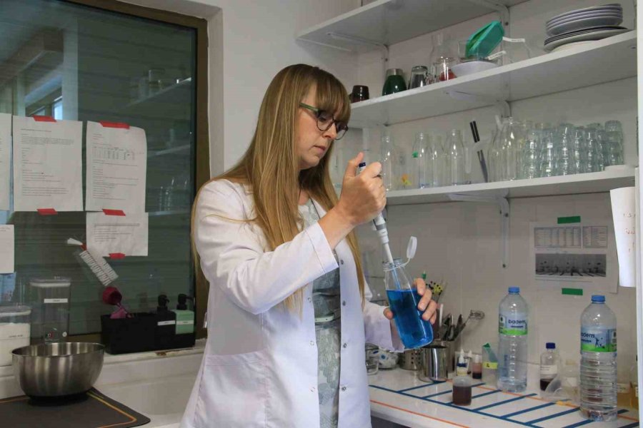 Yiyeceklerin Beyinde Oluşturduğu Tepkiyi Araştırıyor