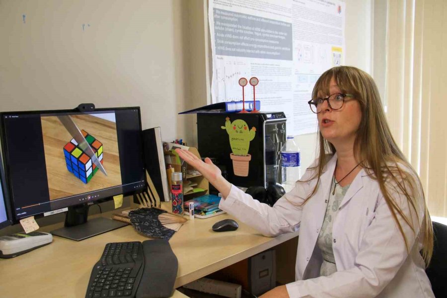 Yiyeceklerin Beyinde Oluşturduğu Tepkiyi Araştırıyor