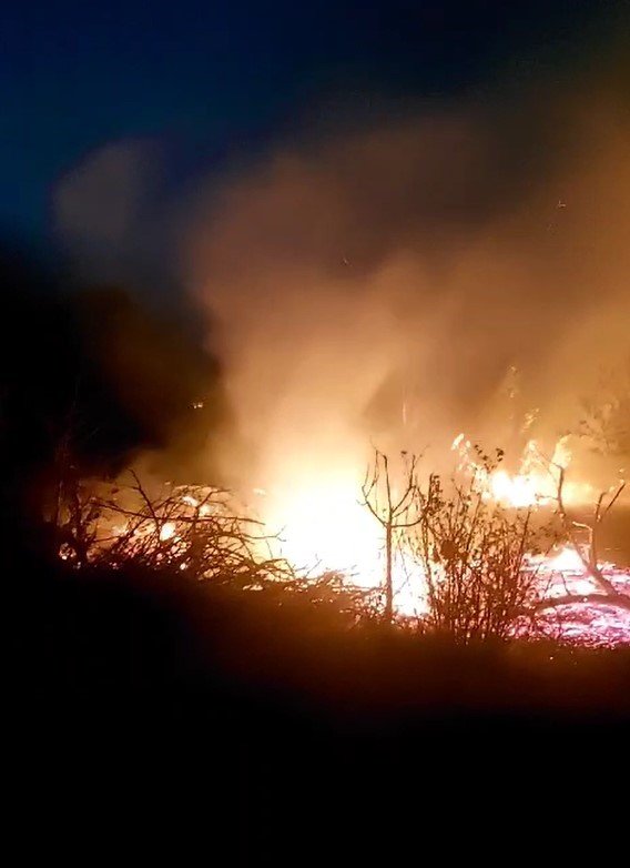 Niğde’de Fırtına Ağaçları Devirdi, Kopan Elektrik Telleri Yangına Sebep Oldu