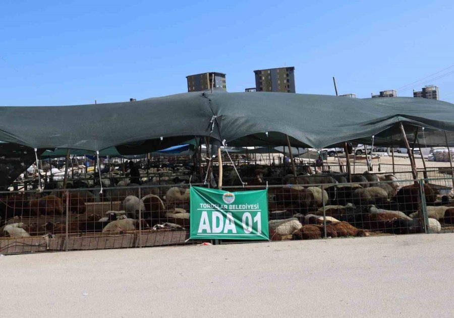 Toroslar Kurban Bayramı’na Hazır