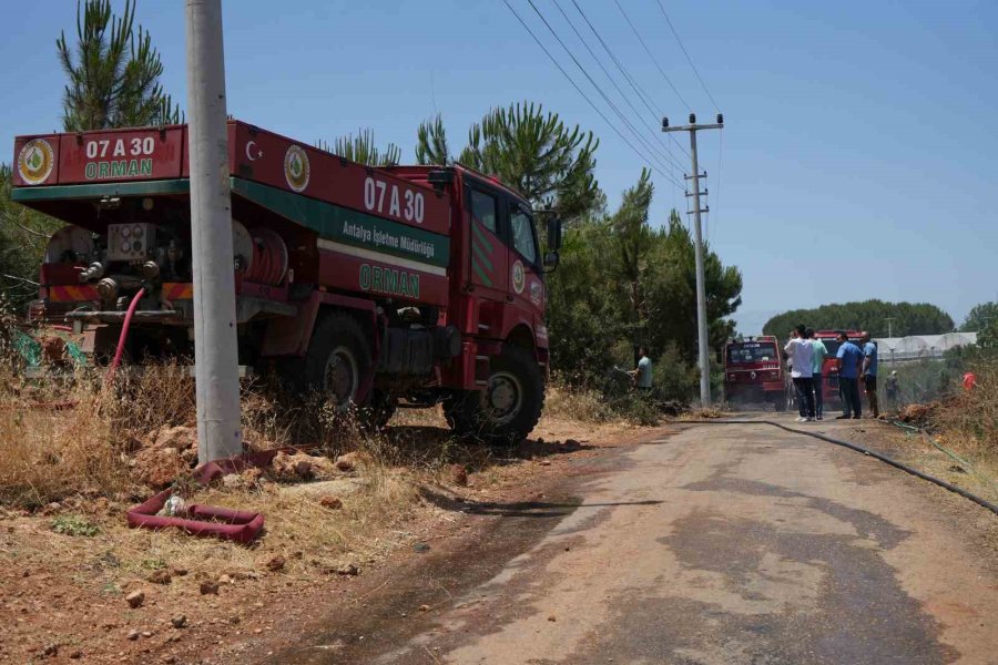 Antalya’da Çıkan Orman Yangını Ekipler Ve Vatandaş İşbirliğiyle Söndürüldü