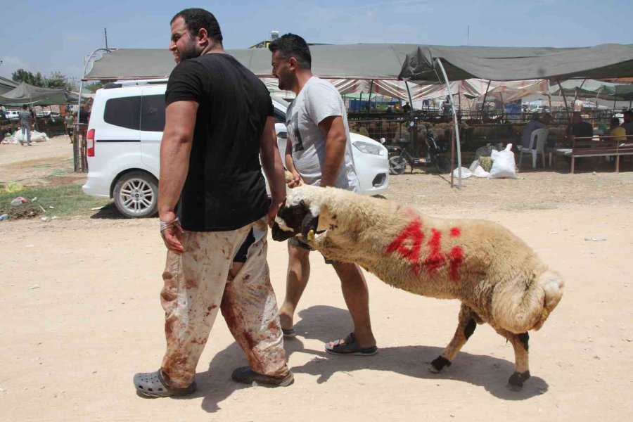 Bayramın İlk Gününde Kurban Pazarında Hareketlilik