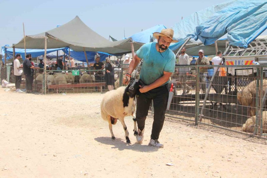 Bayramın İlk Gününde Kurban Pazarında Hareketlilik
