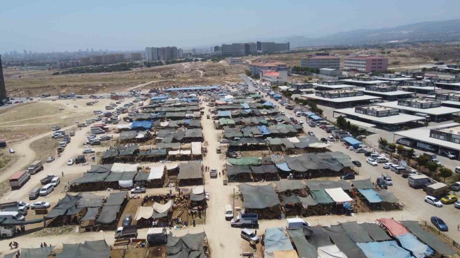 Bayramın İlk Gününde Kurban Pazarında Hareketlilik