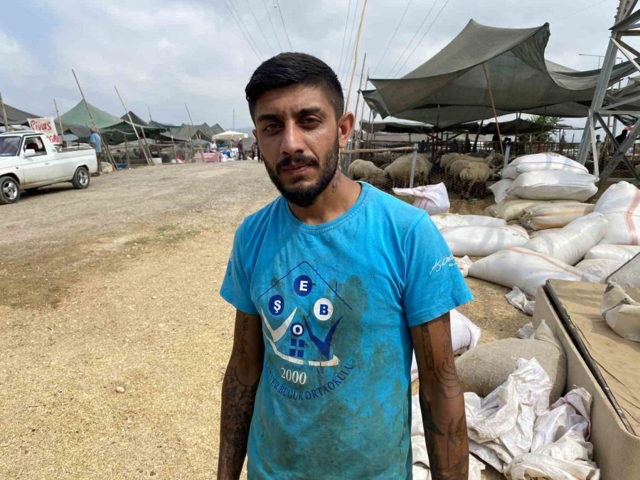 Otomobil Hayvan Pazarına Girdi: 8 Yaralı, 20 Kurbanlık Hayvan Telef Oldu