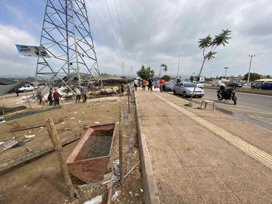 Otomobil Hayvan Pazarına Girdi: 8 Yaralı, 20 Kurbanlık Hayvan Telef Oldu