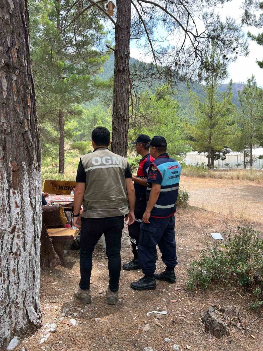 Mersin’de Ormanlık Alanlar Denetleniyor