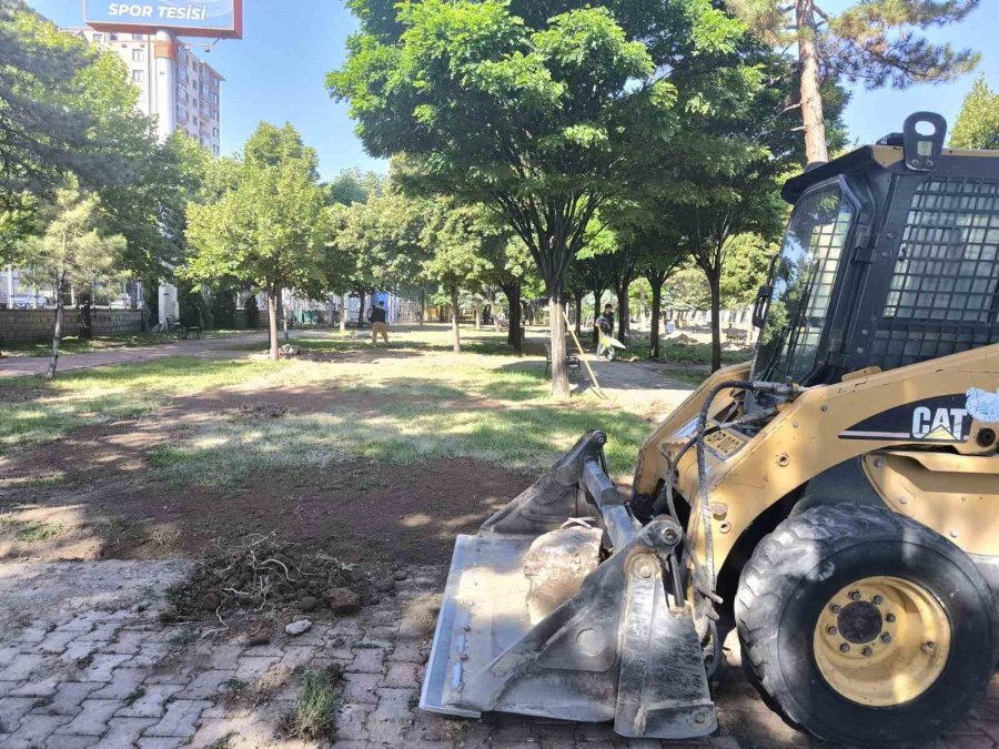 30 Bin Metrekarelik Alan Yeşillendiriliyor